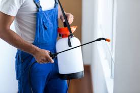 Best Fumigation Services  in Whetstone, AZ